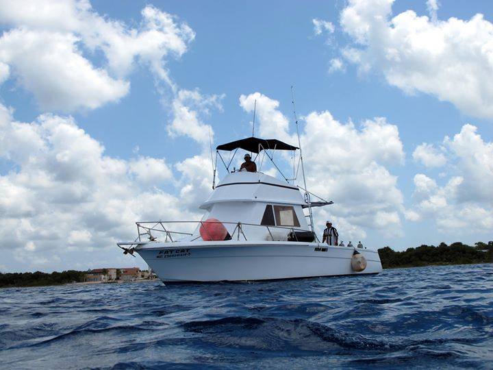 132132029 3617644298317560 5292641908510724926 n