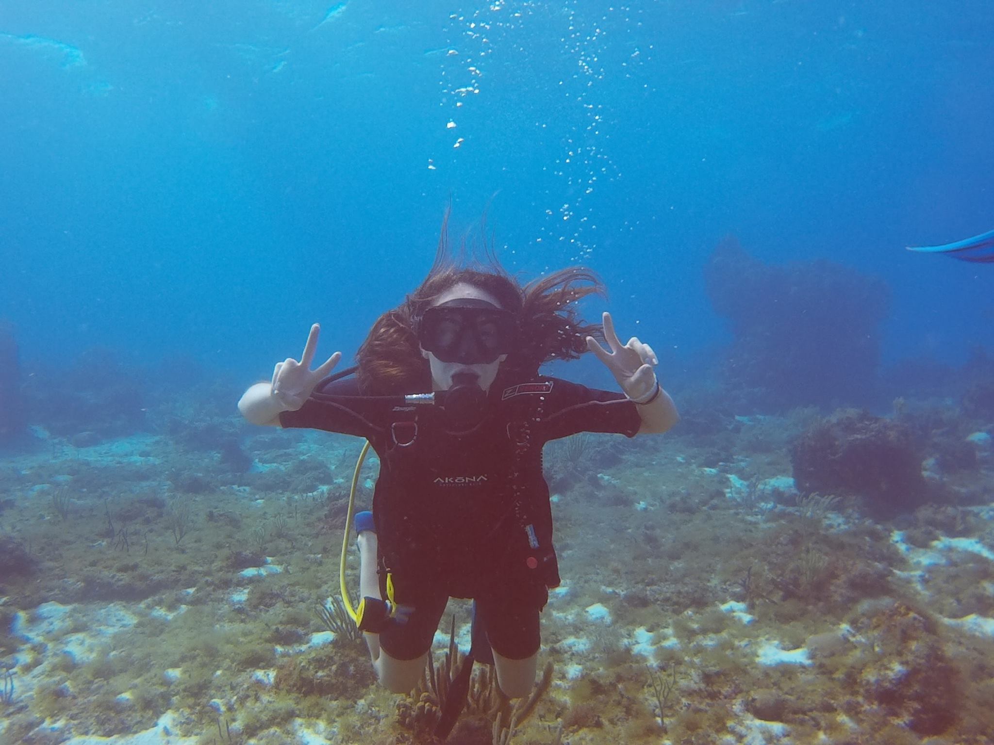 Diving 8 465064377 8613297182051420 8787869157920085279 n