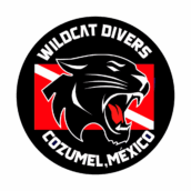Wildcat divers logo