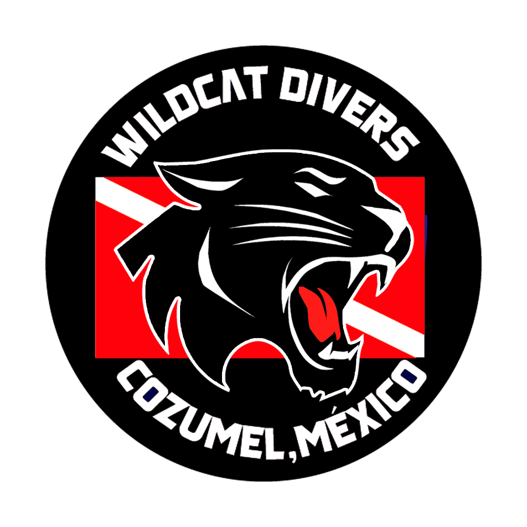 Wildcat divers logo