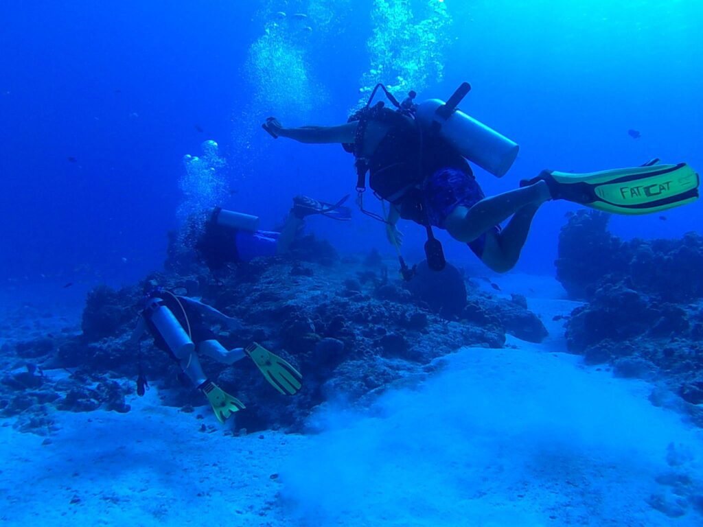 dive in cozumel