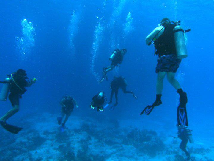 Diving 4 dive in cozumel 5