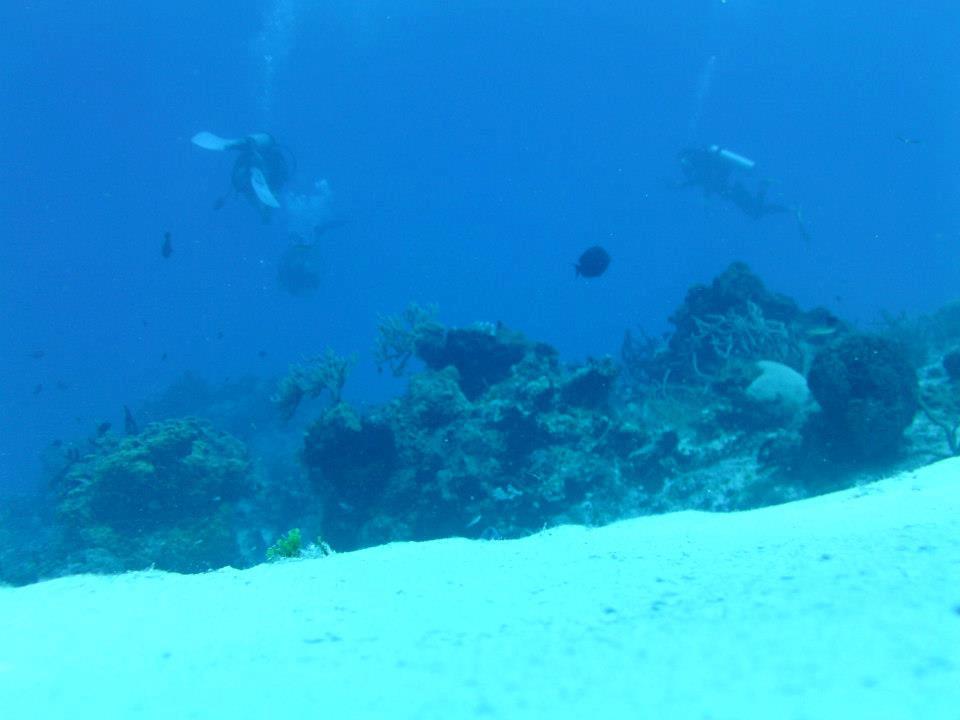Diving 6 dive in cozumel 6 1