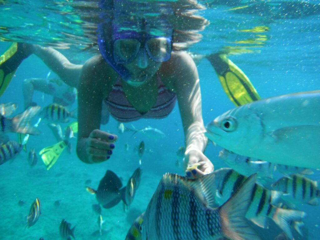 snorkel cozumel 1