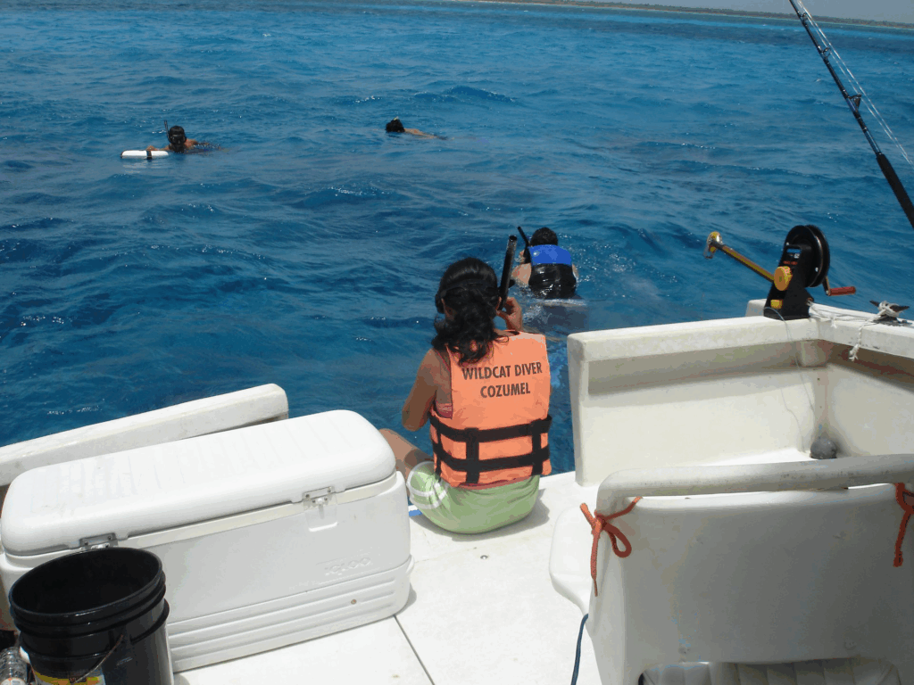 snorkel cozumel 2